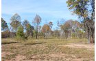Tract 11 - Cleared Land - OKLAHOMA LAND & REAL ESTATE AUCTION, 438 +/- Acres offered in 13 Tracts